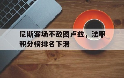 BBIN电子-尼斯客场不敌图卢兹，法甲积分榜排名下滑的简单介绍