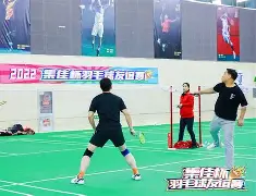 大比分落后反击，客队奋力追平比分的简单介绍